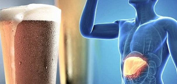 Влияет ли безалкогольное пиво на печень